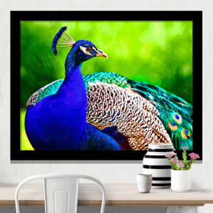 Peacock digital art